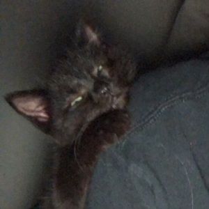 Meet your Posher, Mykaela